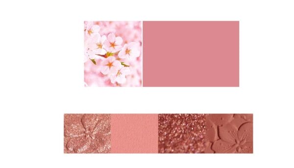 NOVO Eyeshadow Palette - Image 4