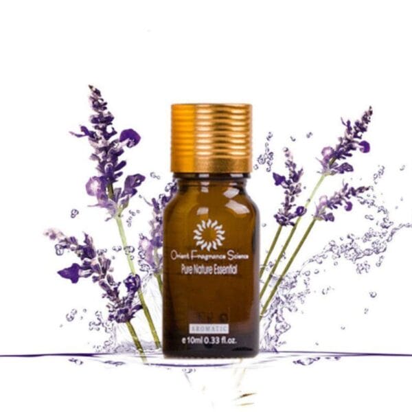 Acne Scar Removal Oil – Natural Skin Brightening, Dark Spot Remover & Stretch Marks Treatment