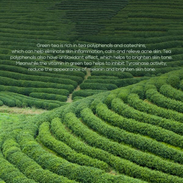 Green Tea Toner 100ml Moisturizing Lotion Skin Care Products - Image 4