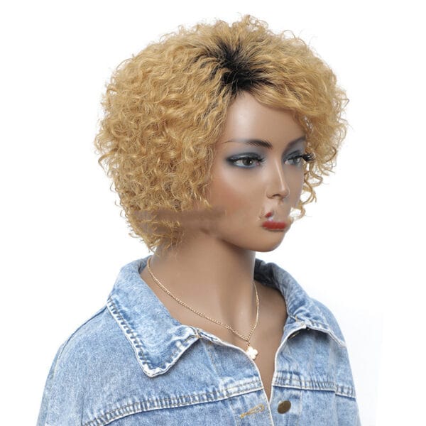Small Curly Real Hair Headgear, Gradual Fluffy Head High-end Short Hair Cover - Image 2