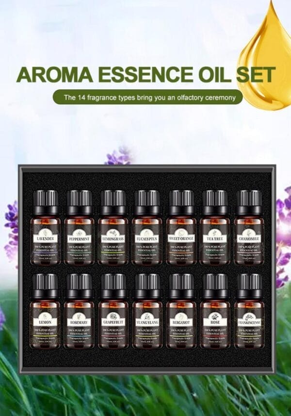 Single Essential Oil Set 10ml Single Essential Oil Plant Aroma Tea Tree - Image 3